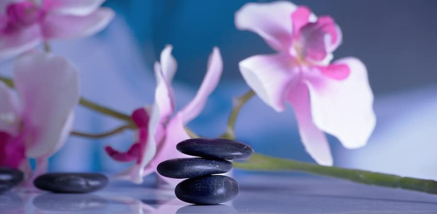 Orchid flower with three massage stones